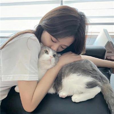 纽约黑帮